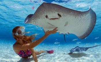 Активна почивка