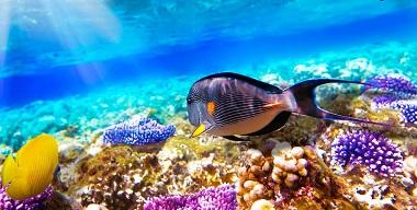 GRAND BLUE SAINT MARIA AQUA PARK 3 * - Хургада, Египет